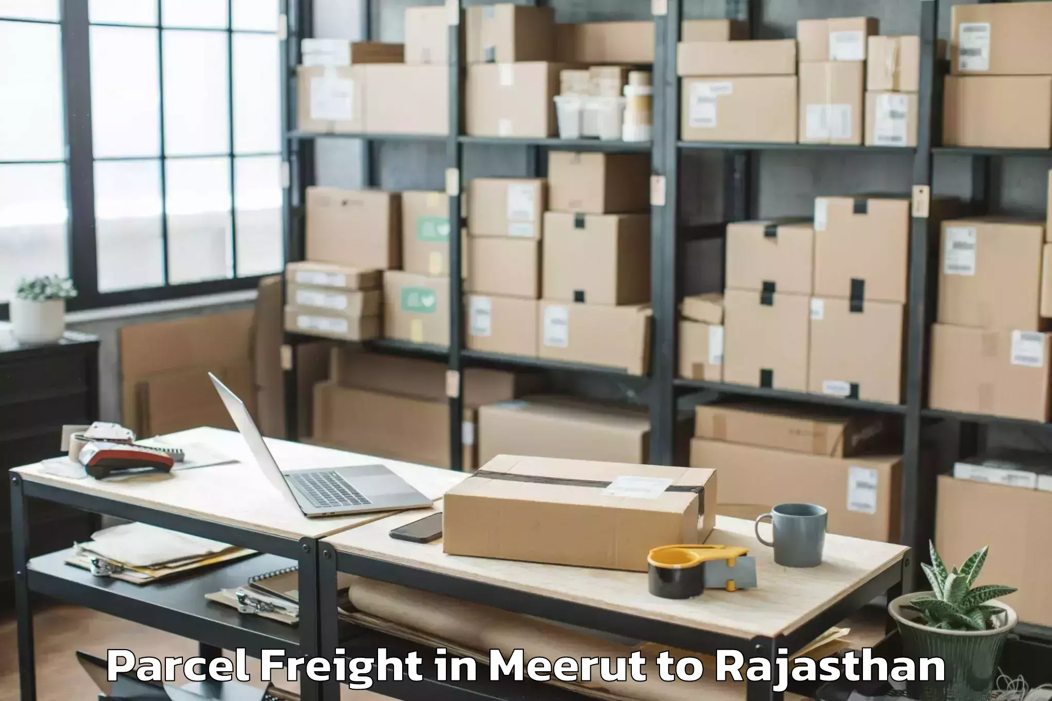 Expert Meerut to Abu Road Parcel Freight